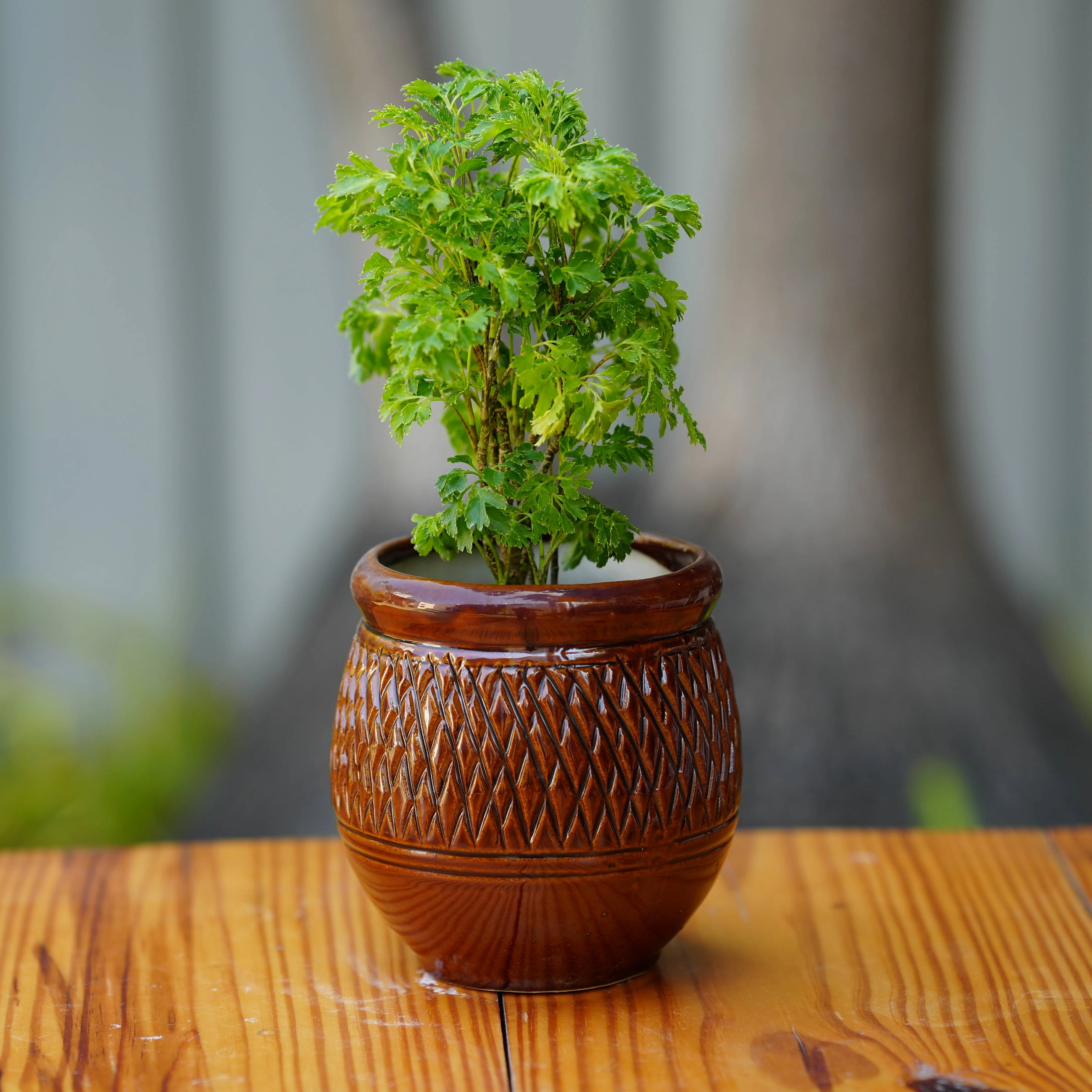 Herringbone Ceramic Planter with Woven Pattern