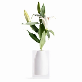 Hester - Bud Vase Hamptons White mini ornamental plant  