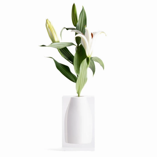 Hester - Bud Vase Hamptons White mini ornamental plant  