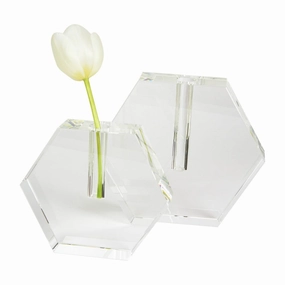 Hex  Flat Bud Vase mini ornamental plant  