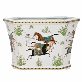 Hexagon Horse Porcelain Cachepot plant seeds  