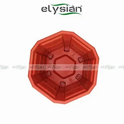 Hexagonal Plastic Planter with Drainage Hole