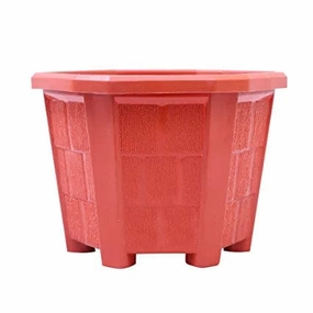 Hexagonal Plastic Planter with Drainage Hole cactus succulent plant  