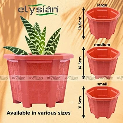 Hexagonal Plastic Planter with Drainage Hole
