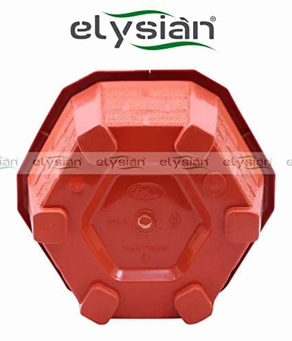 Hexagonal Shape Plastic Pot (12 cms), Brown