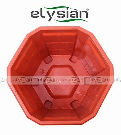 Hexagonal Shape Plastic Pot (12 cms), Brown