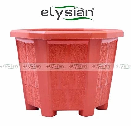 Hexagonal Shape Plastic Pot (12 cms), Brown