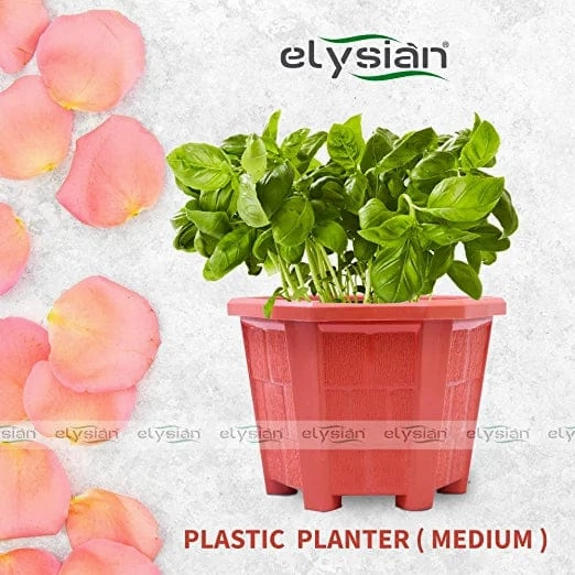 Hexagonal Shape Plastic Pot (15 cms), Brown