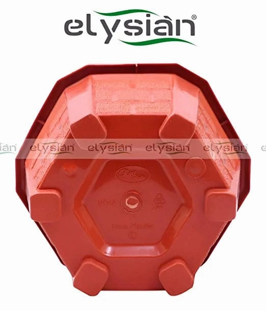 Hexagonal Shape Plastic Pot (15 cms), Brown