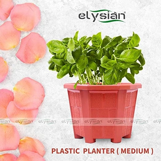 Hexagonal Shape Plastic Pot (15 cms), Brown