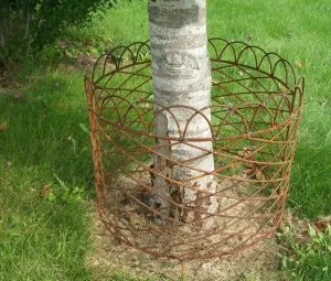 Hoop Circle Fence for Tree decorative plants  