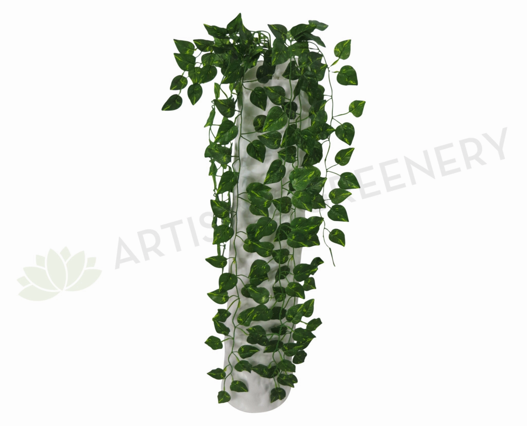 HP0003 Hanging Pothos 90cm Silk summer vegetable seed  