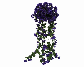HP0004 Hanging Impatiens 87cm Dark Purple summer vegetable seed  