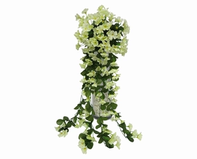 HP0004 Hanging Impatiens 87cm Light Yellow summer vegetable seed  