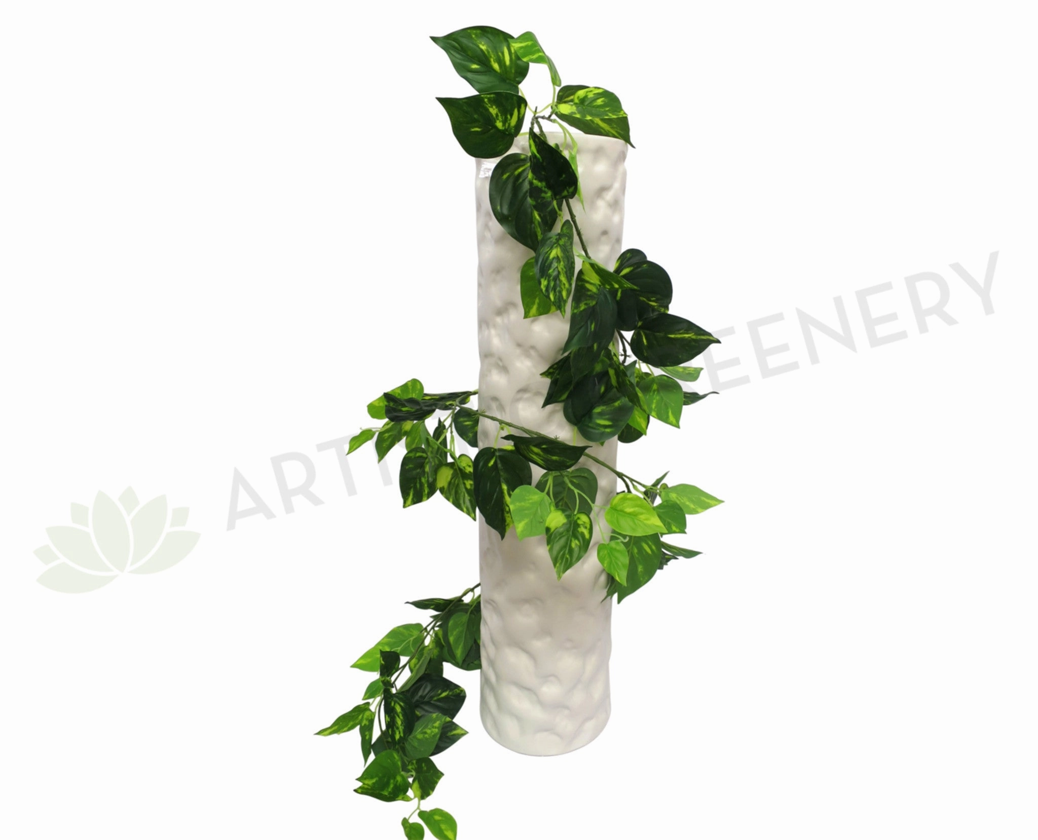HP0017 Gold Pothos Garland / Devil's Ivy 185cm Real Touch Leaves summer vegetable seed  
