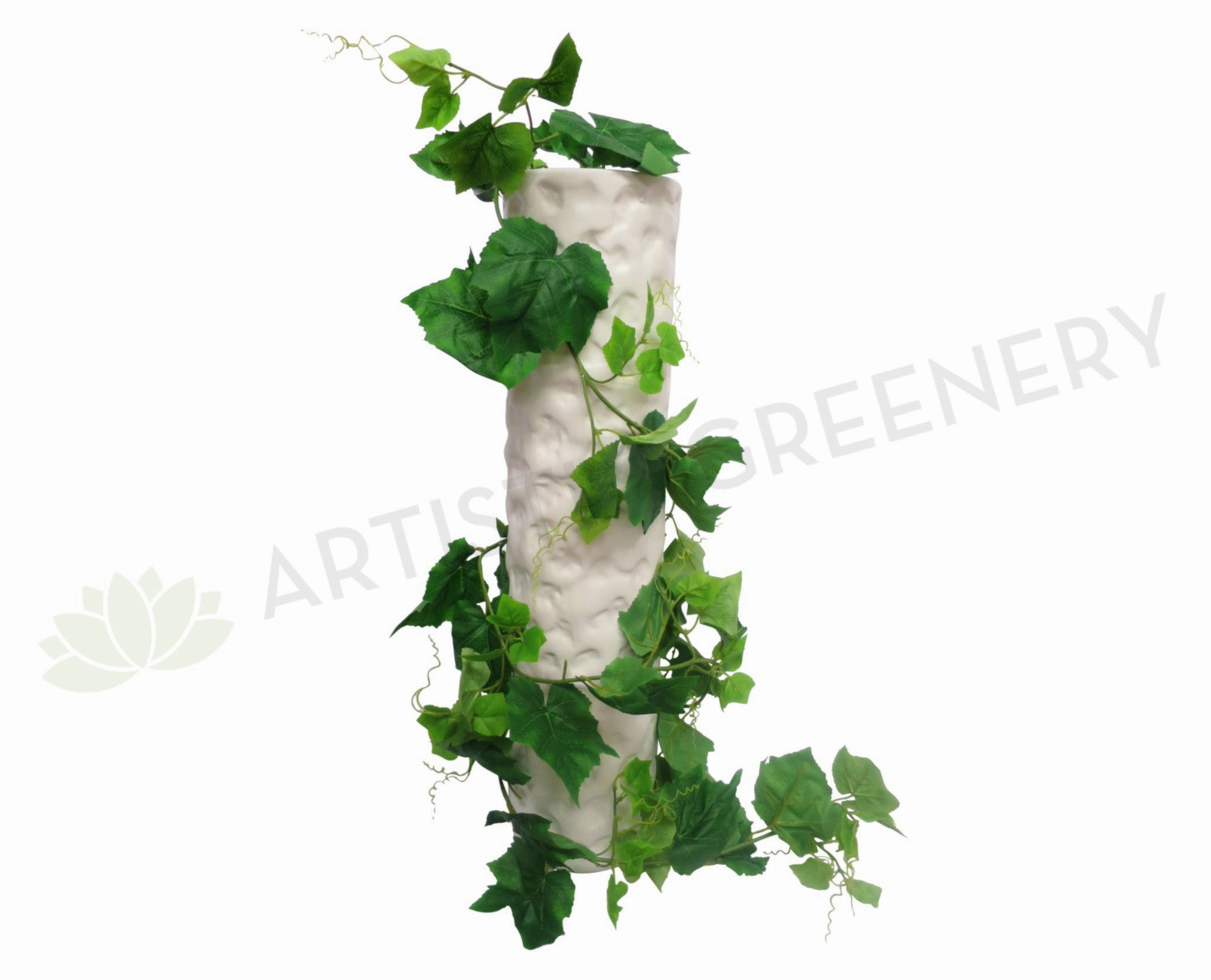 HP0019NEW Grape Vine with Tendrils 250cm summer vegetable seed  
