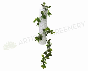 HP0021 Nerve Plant Garland (Red Veins) / Fittonia Real Touch 180cm summer vegetable seed  