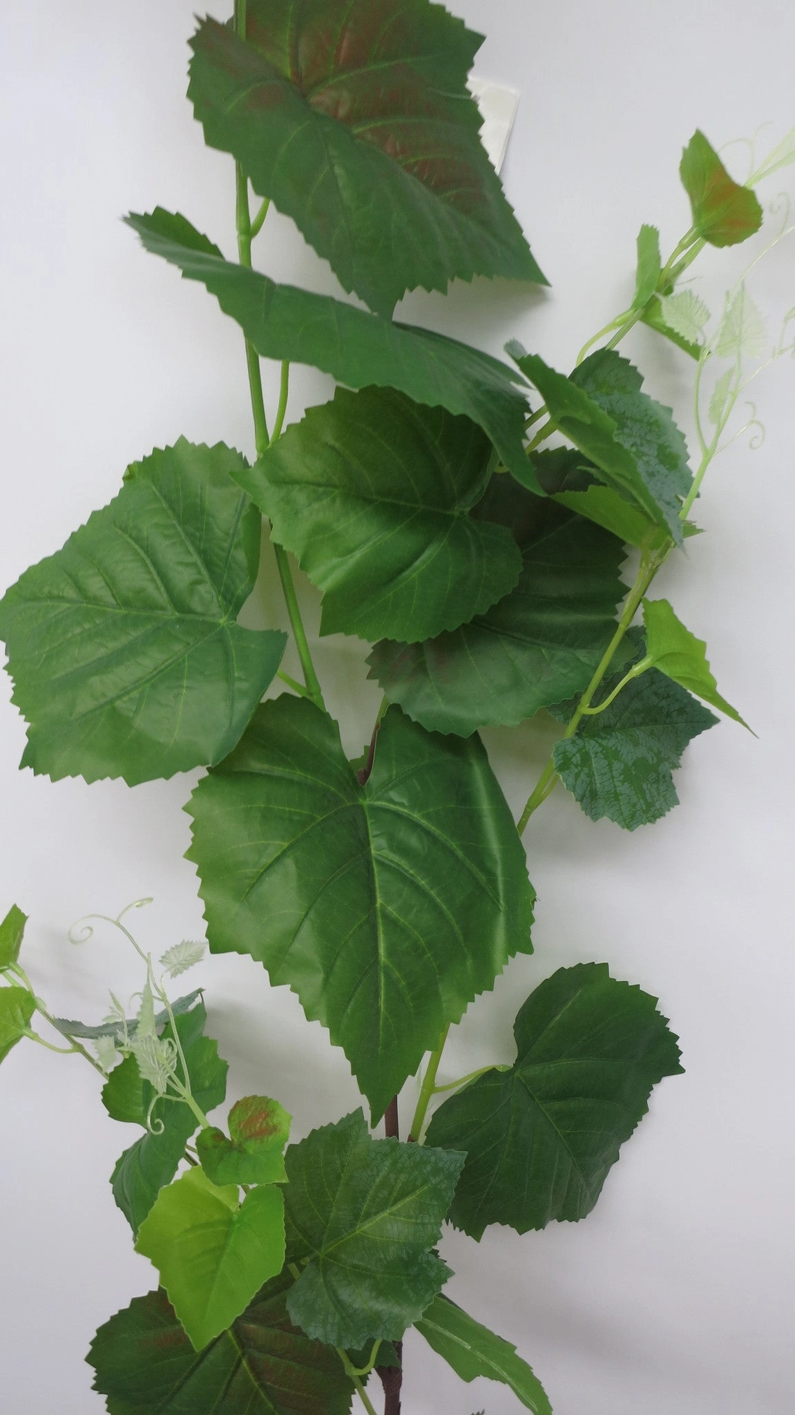 HP0025 Grape Vine Branch Real Touch 150cm