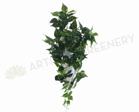 HP0026 Hanging Golden Pothos / Devils Ivy 80cm Real Touch summer vegetable seed  