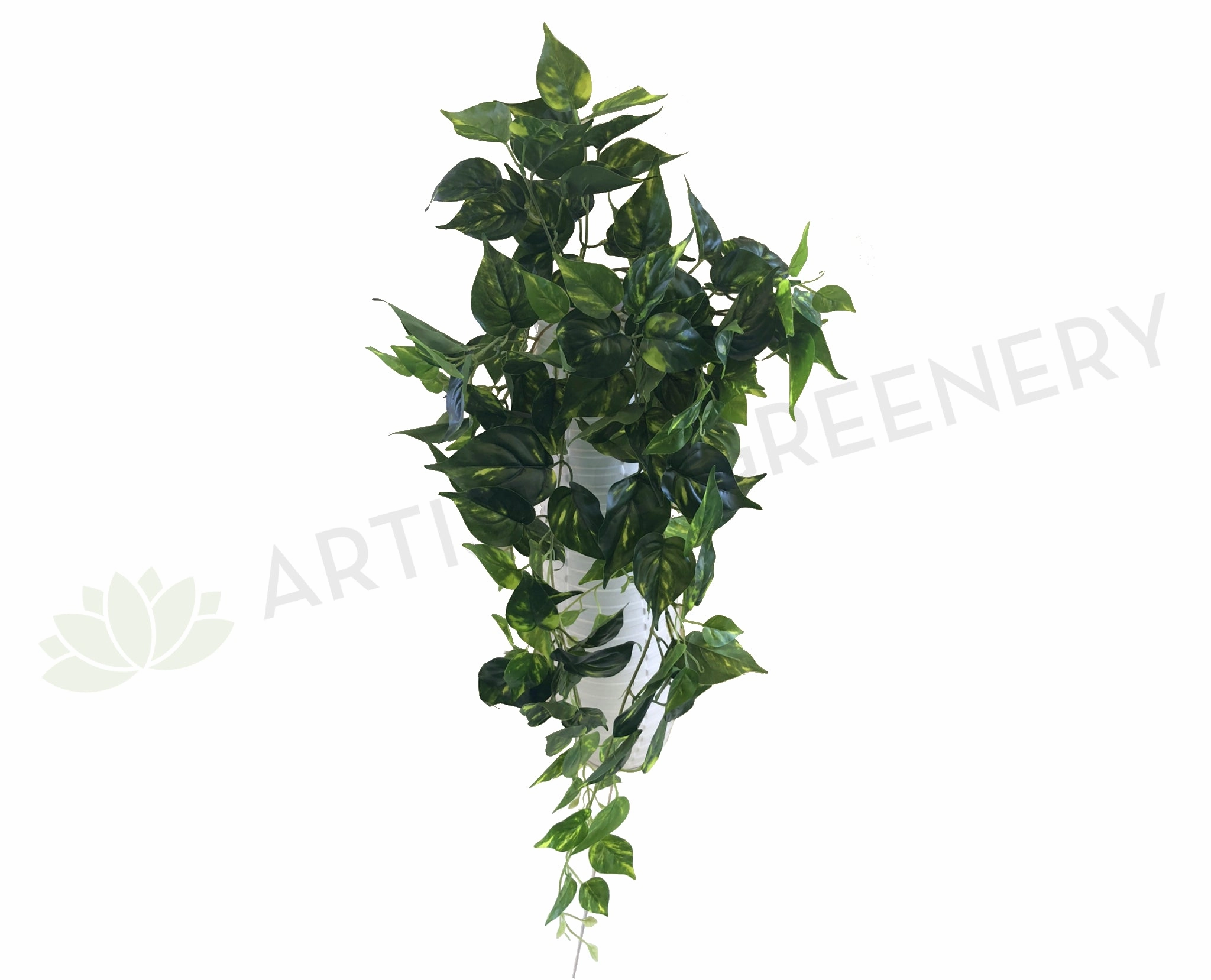 HP0026 Hanging Golden Pothos / Devils Ivy 80cm Real Touch summer vegetable seed  