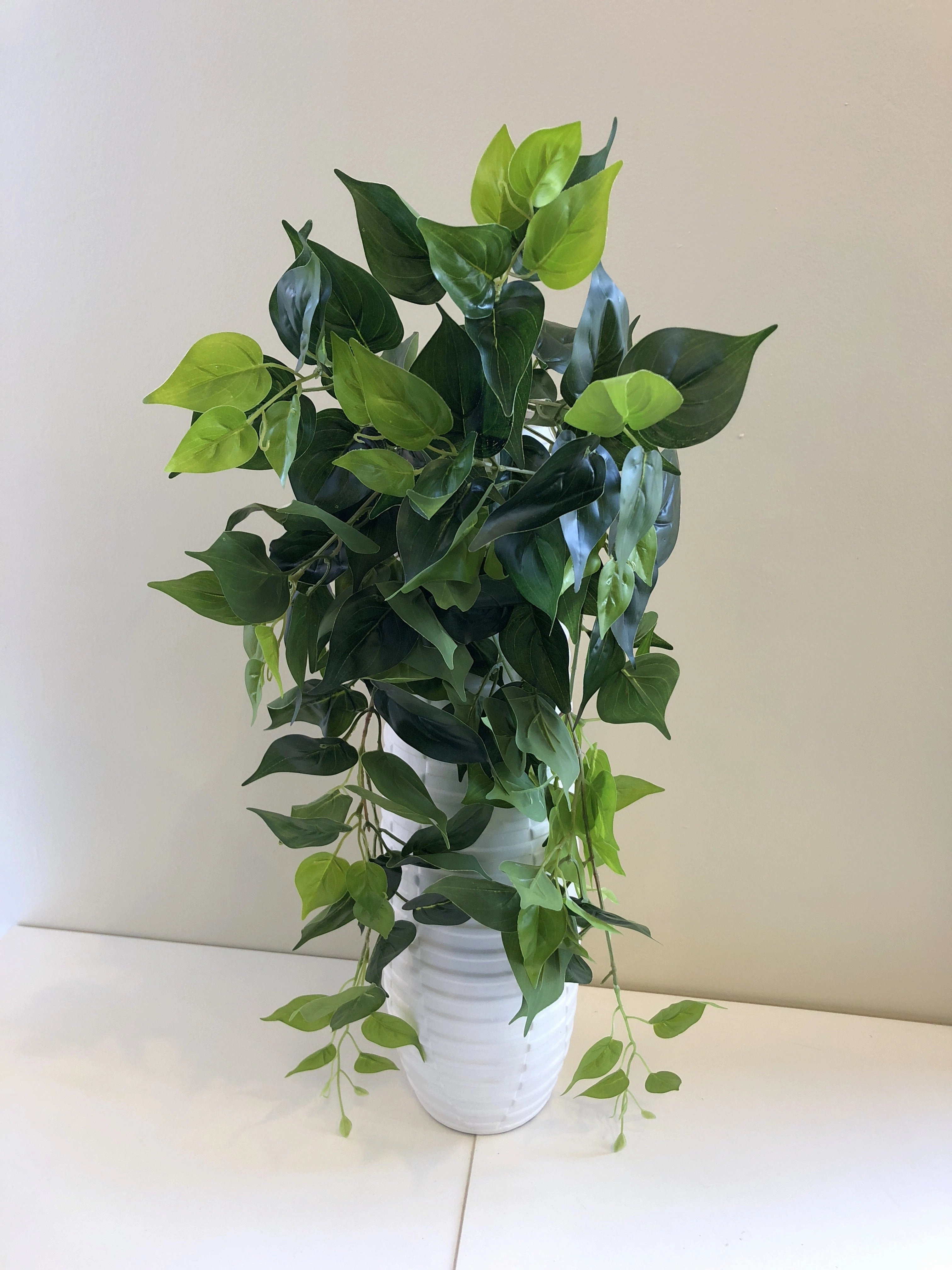 HP0032 Hanging Jade Pothos / Devil Ivy 80cm Green (2 styles)