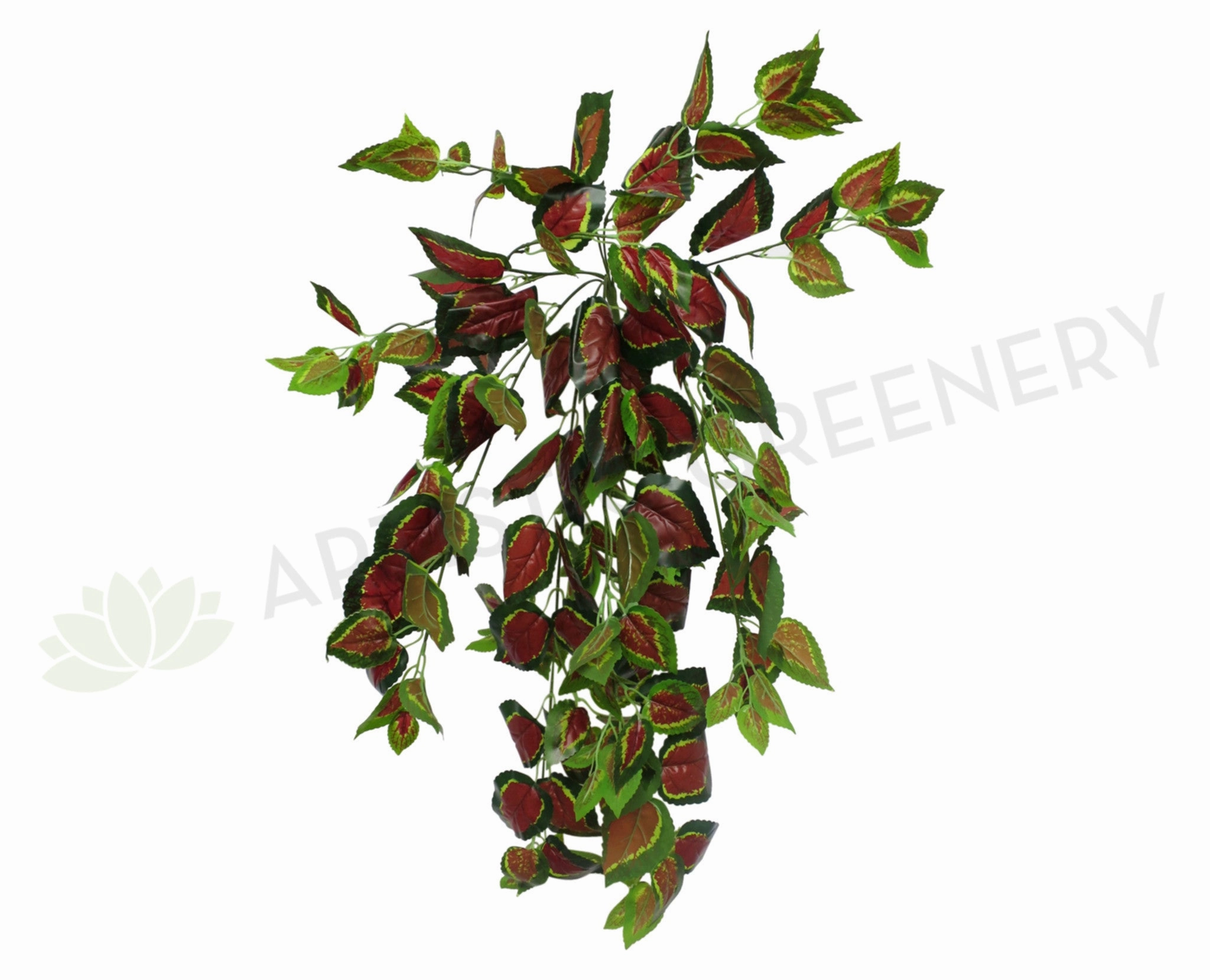 HP0033 Hanging Nettles Real Touch 80cm summer vegetable seed  