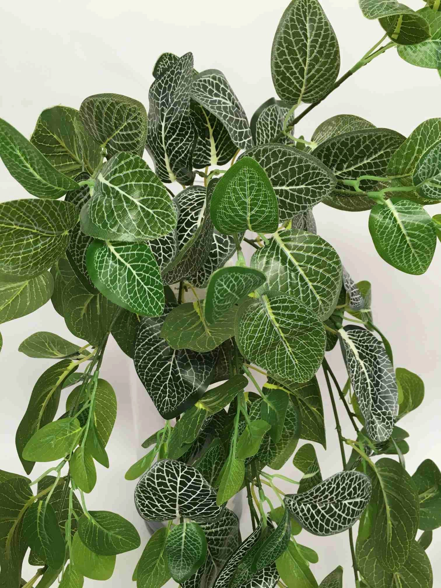 HP0034 Hanging Nerve Plant (White Veins) / Fittonia 80cm Real Touch