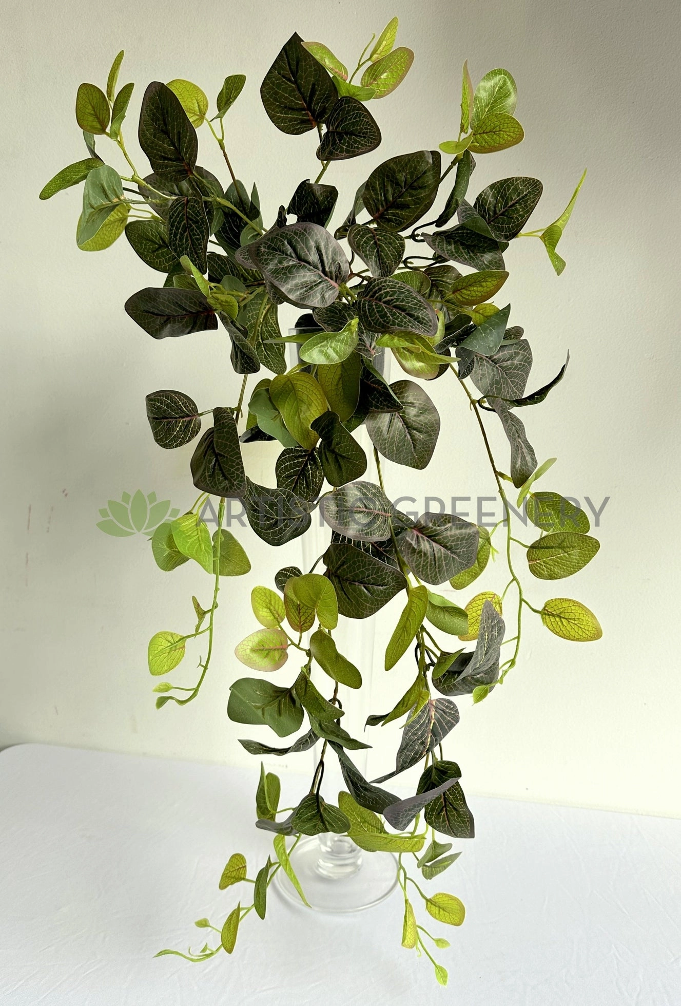 HP0034PUR Hanging Nerve Plant (Purple Veins) / Fittonia 80cm Real Touch