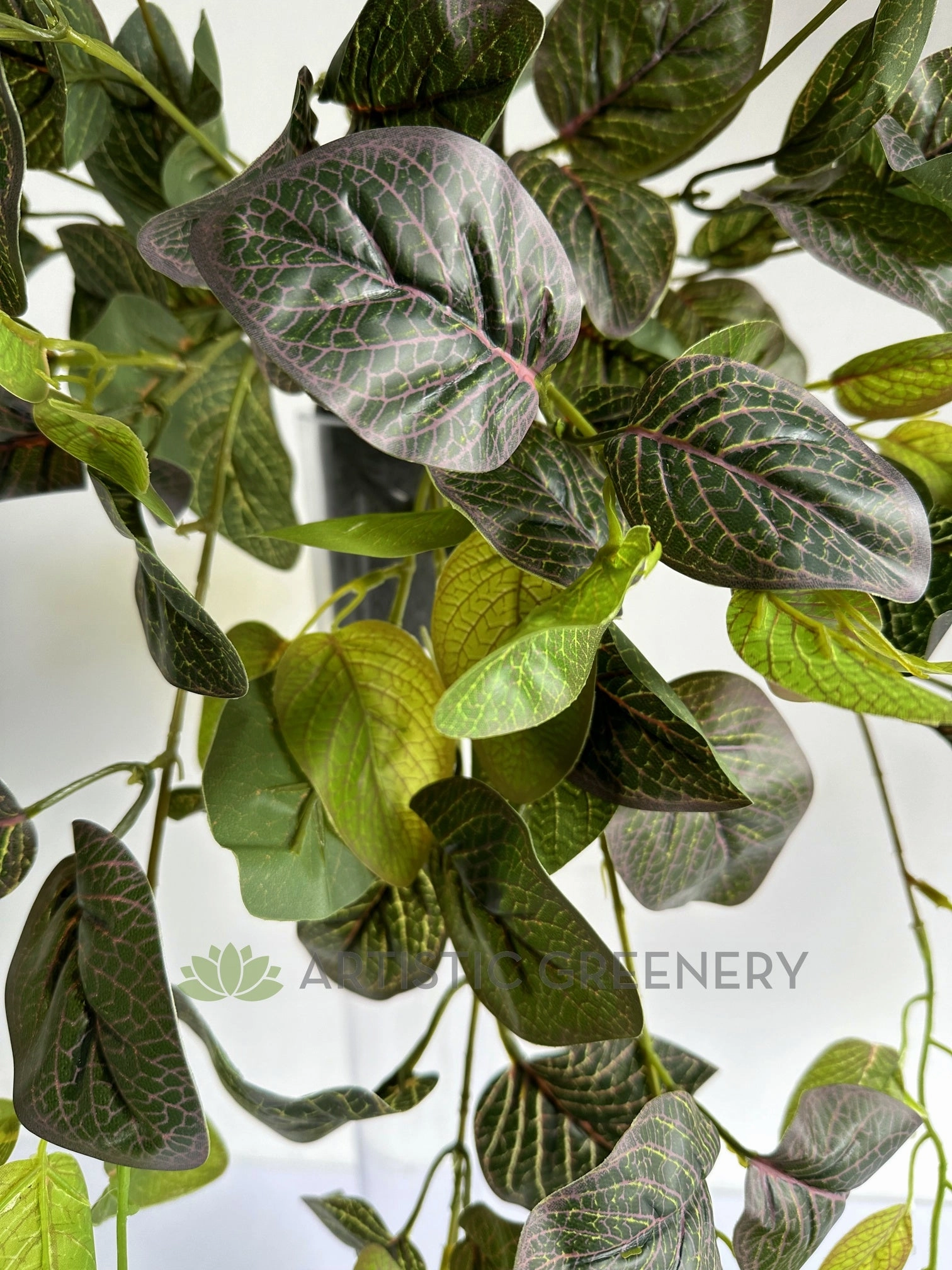 HP0034PUR Hanging Nerve Plant (Purple Veins) / Fittonia 80cm Real Touch