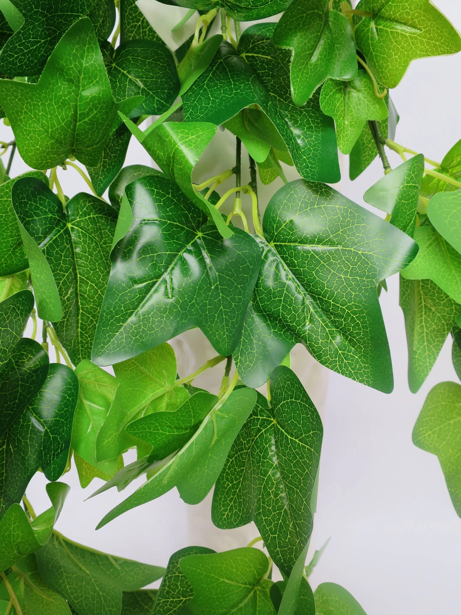 HP0035 Haning Ivy (Large Leaves) Real Touch 80cm