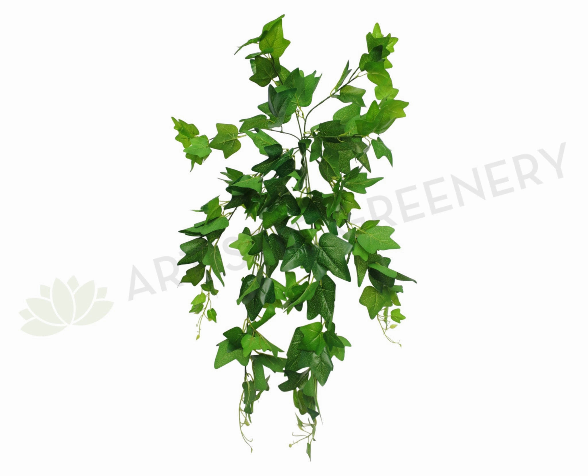 HP0035 Haning Ivy (Large Leaves) Real Touch 80cm summer vegetable seed  