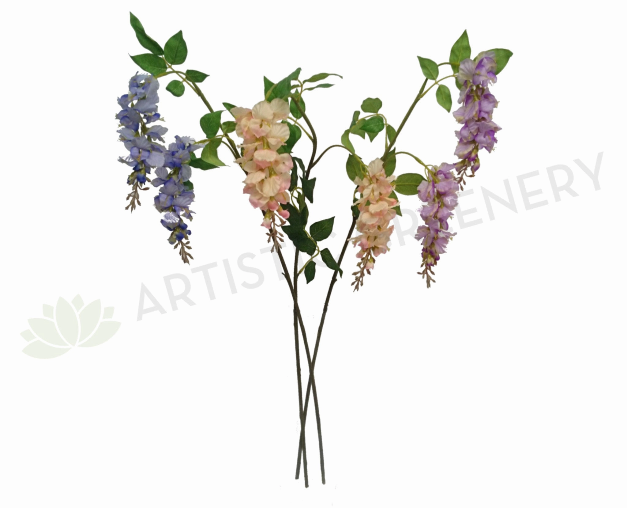 HP0041 Hanging Wisteria 103cm White / Purple summer vegetable seed  