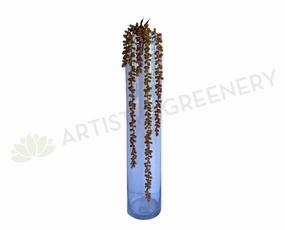 HP0043 String of Pearls (Senecio Rowleyanus) 67cm Brown mini ornamental plant  