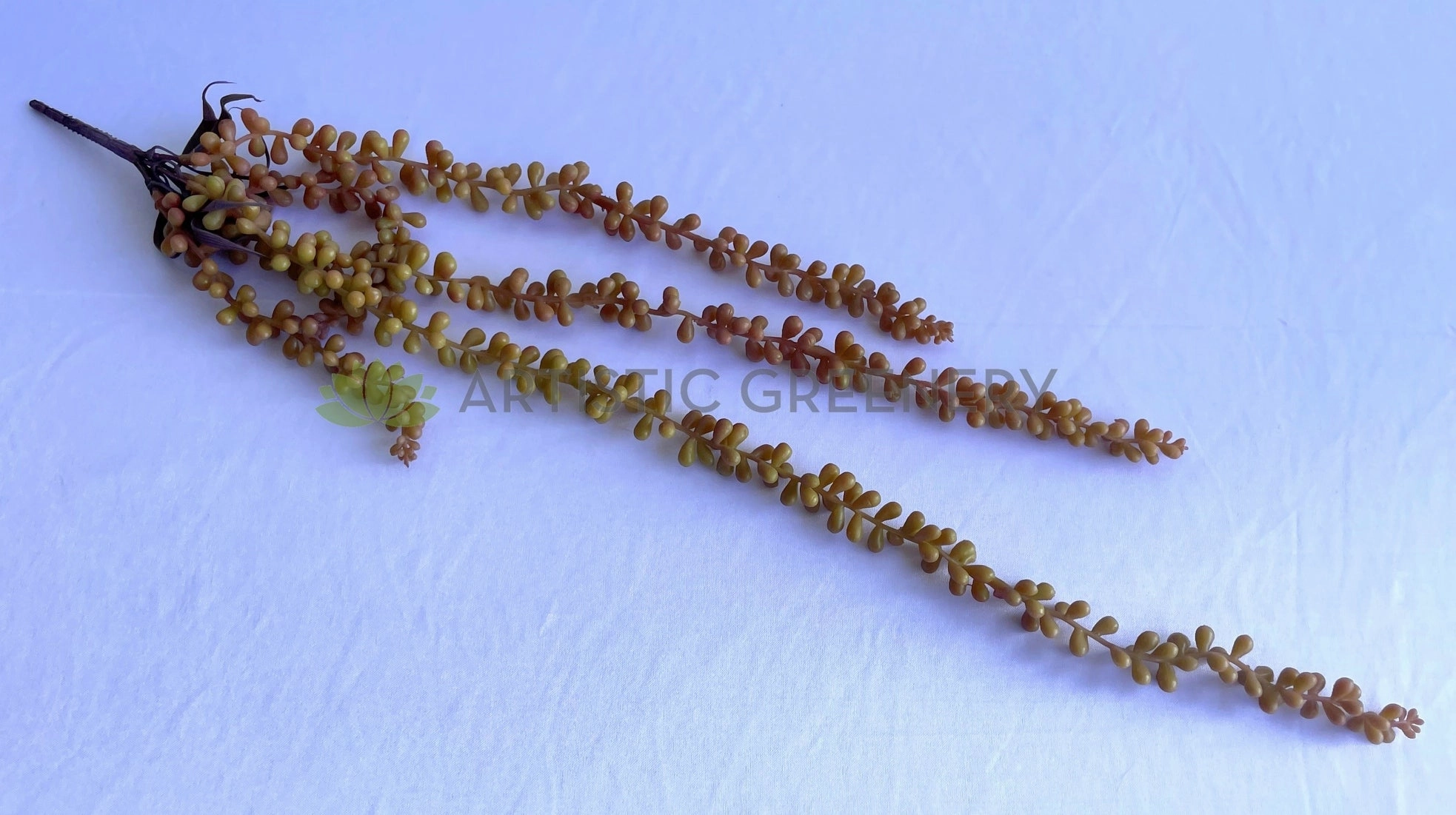HP0043 String of Pearls (Senecio Rowleyanus) 67cm Brown