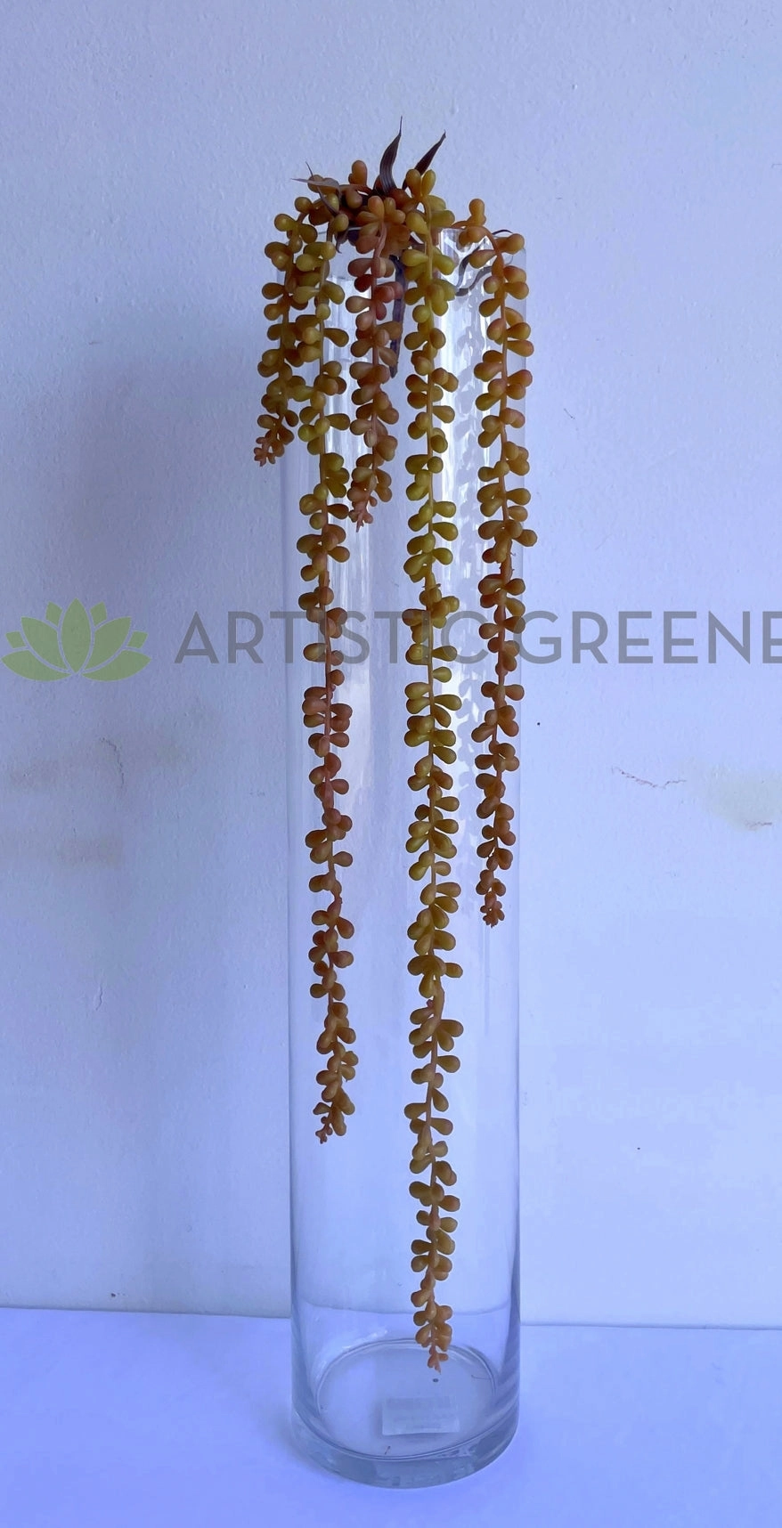 HP0043 String of Pearls (Senecio Rowleyanus) 67cm Brown