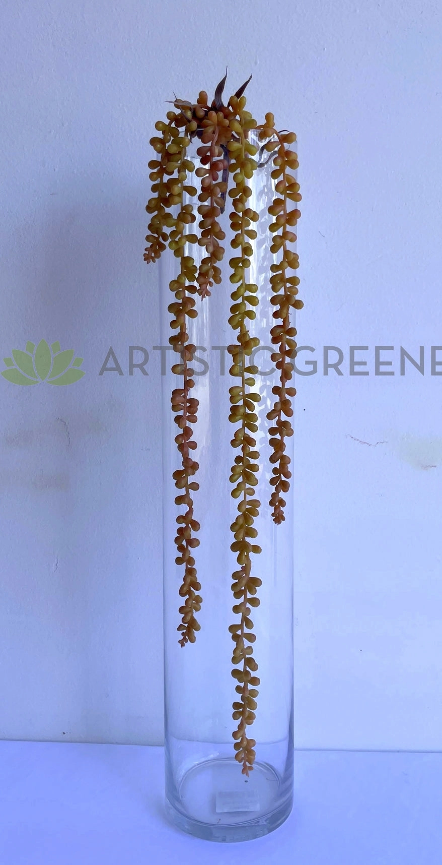 HP0043 String of Pearls (Senecio Rowleyanus) 67cm Brown