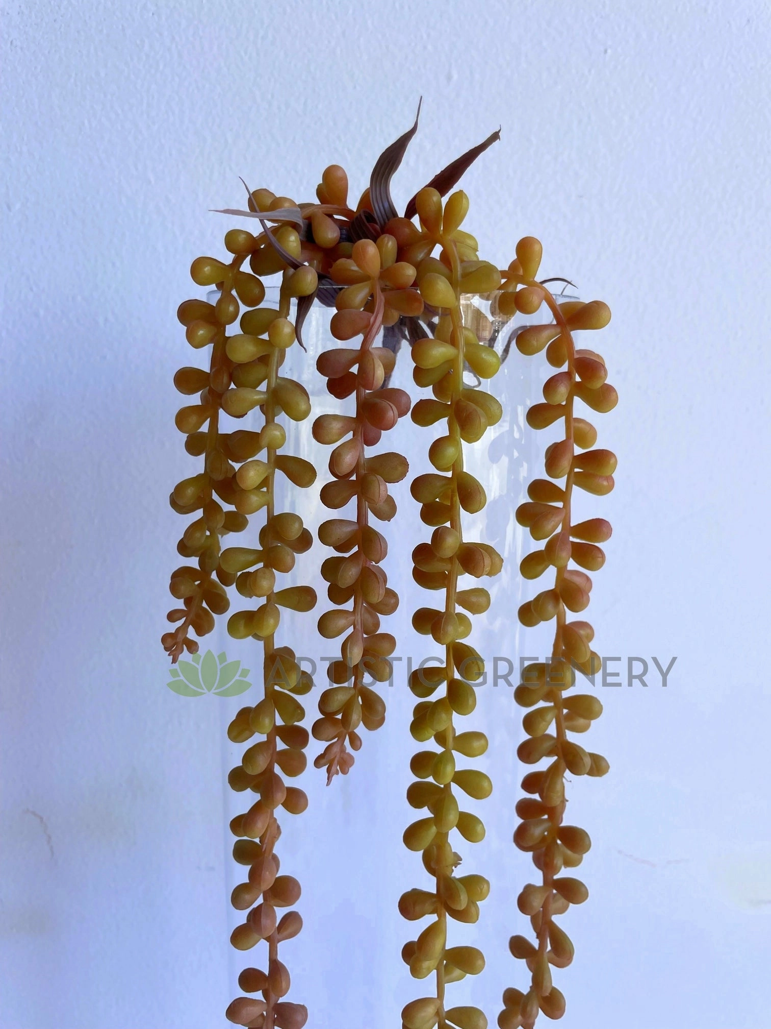 HP0043 String of Pearls (Senecio Rowleyanus) 67cm Brown