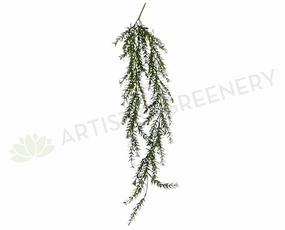 HP0045 Weeping Greenery 70cm Green summer vegetable seed  