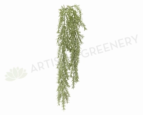 HP0045 Weeping Greenery 70cm summer vegetable seed  
