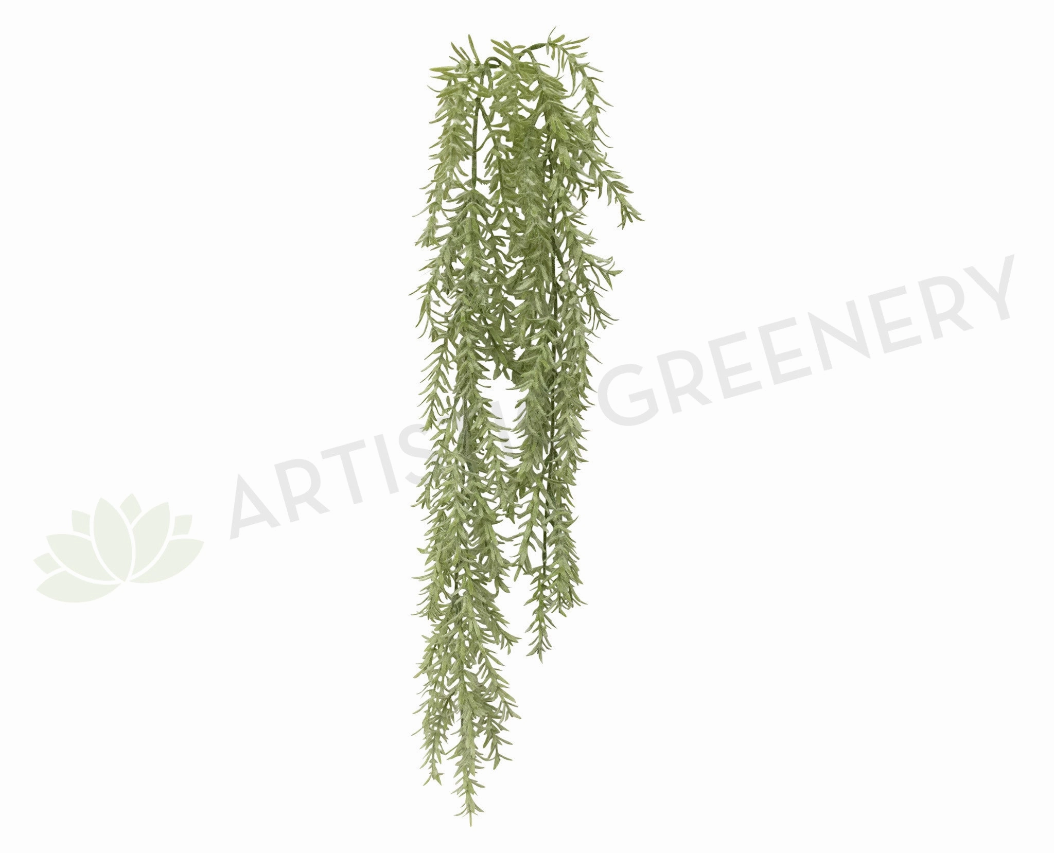 HP0045 Weeping Greenery 70cm summer vegetable seed  