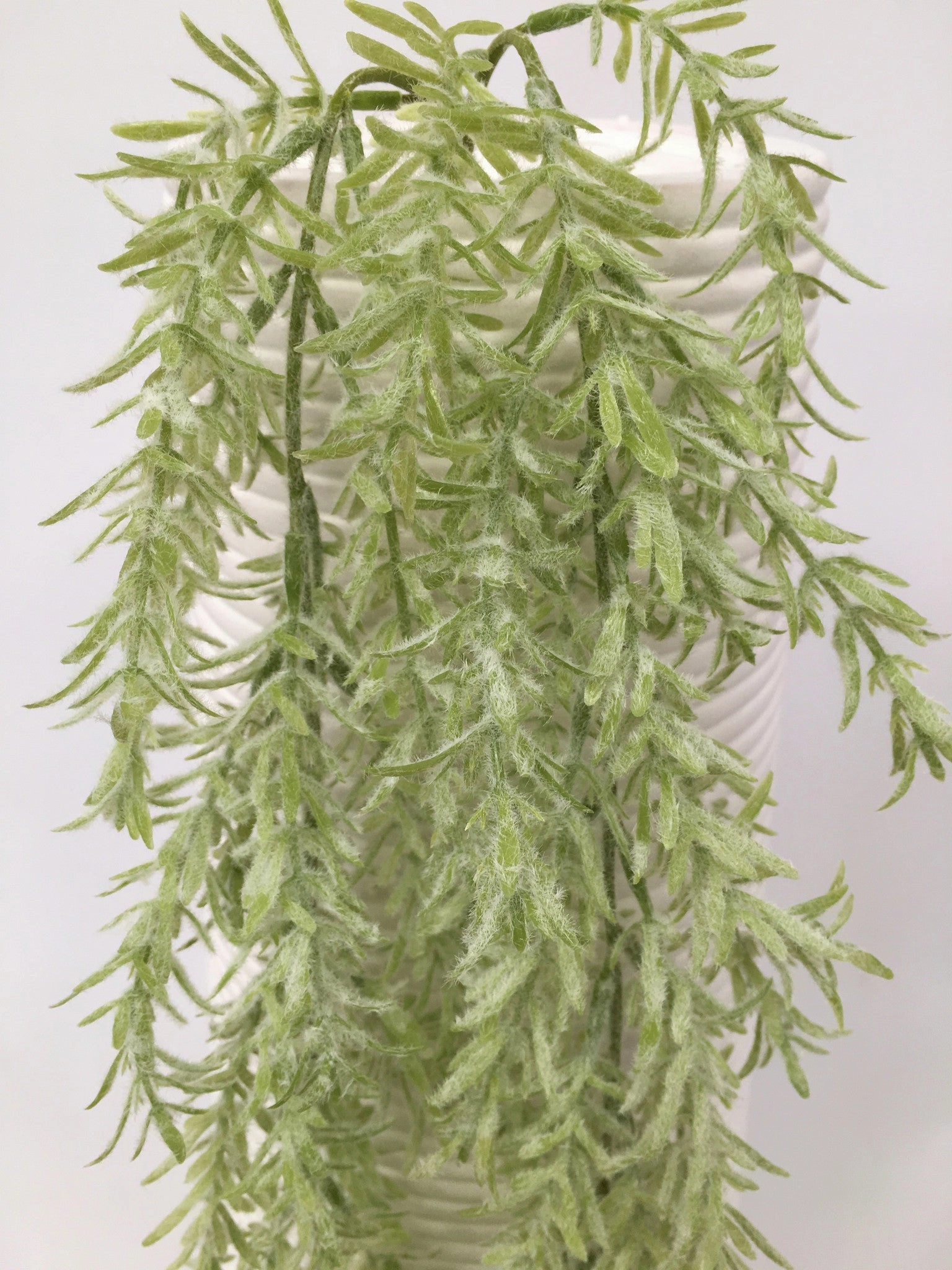 HP0045 Weeping Greenery 70cm