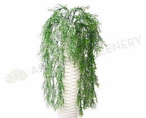 HP0046 Weeping Greenery 80cm 2 colours summer vegetable seed  