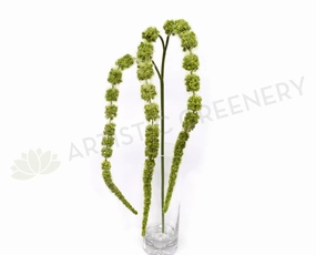 HP0047 Amaranthus / Amaranth 99cm Light Green xl flower pot  