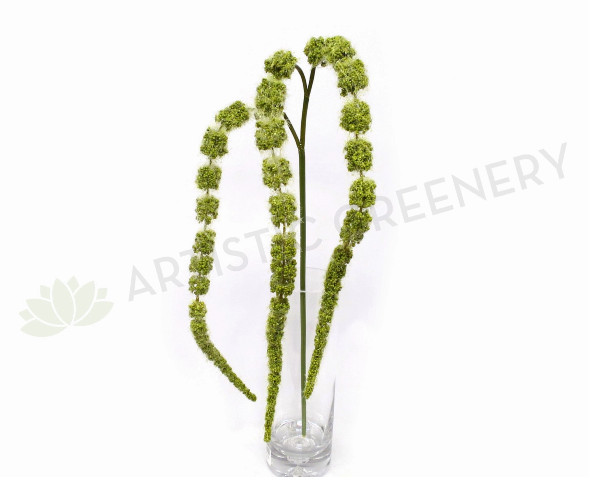 HP0047 Amaranthus / Amaranth 99cm Light Green xl flower pot  