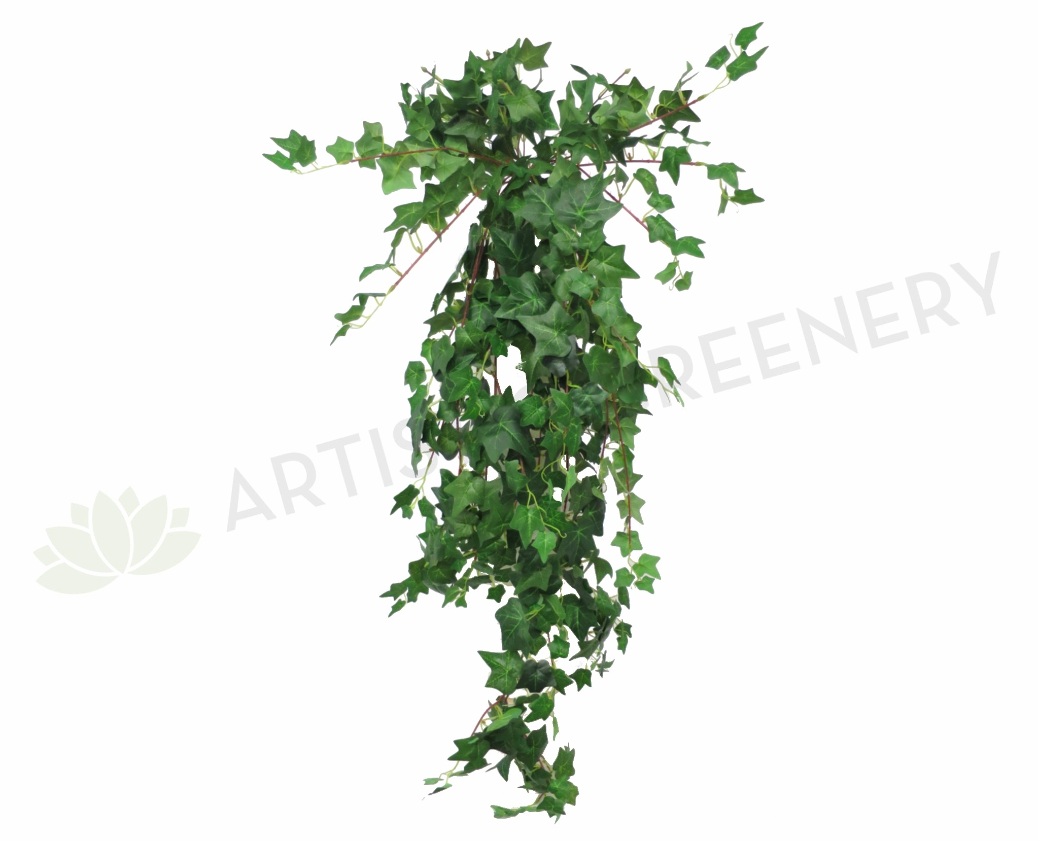 HP0049 Hanging Ivy (Large Bunch) 115cm Green SALE summer vegetable seed  