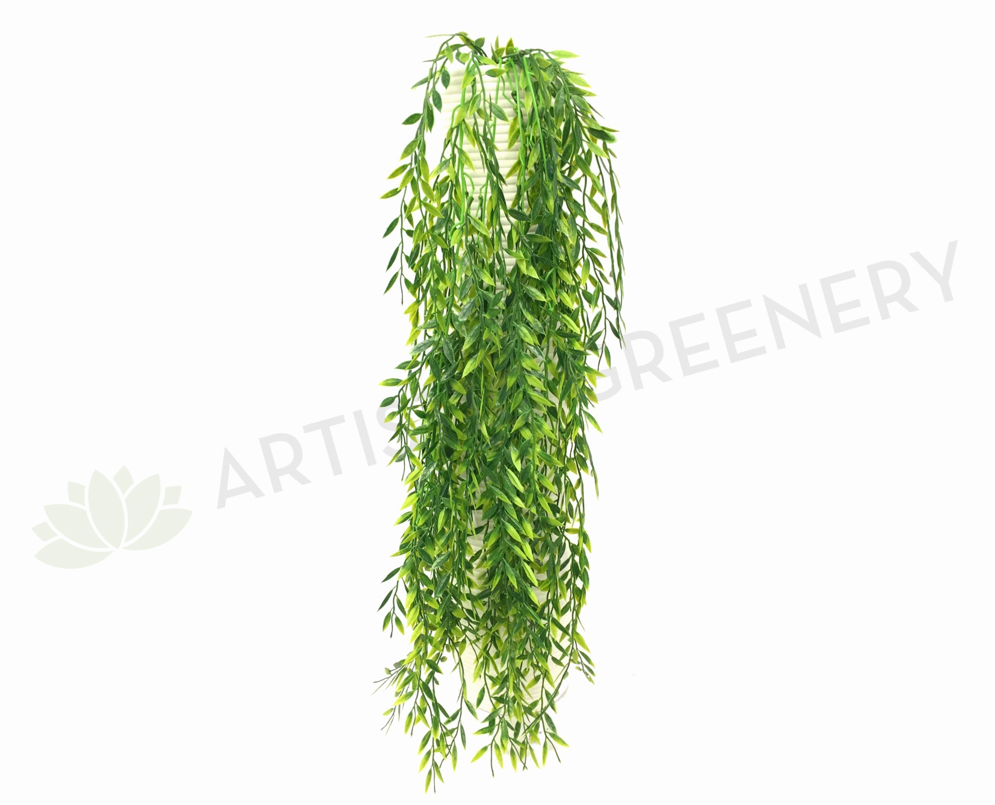 HP0054 Weeping Greenery 90cm Green summer vegetable seed  