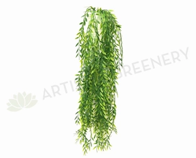 HP0054 Weeping Greenery 90cm Green summer vegetable seed  