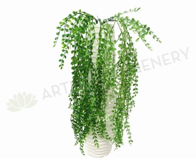 HP0055 Hanging Mini Buttons 80cm 2 Colours summer vegetable seed  