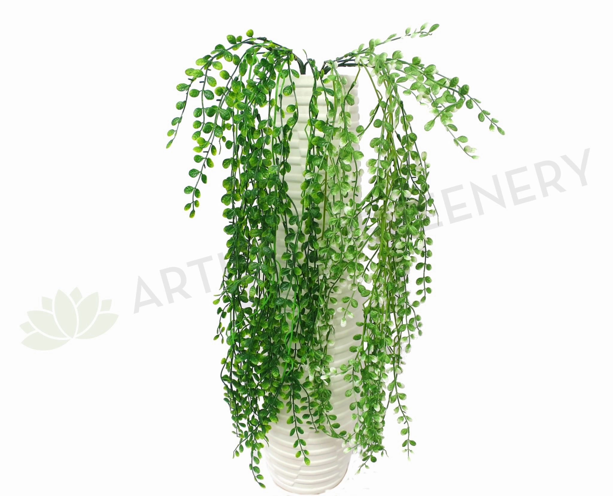 HP0055 Hanging Mini Buttons 80cm 2 Colours summer vegetable seed  