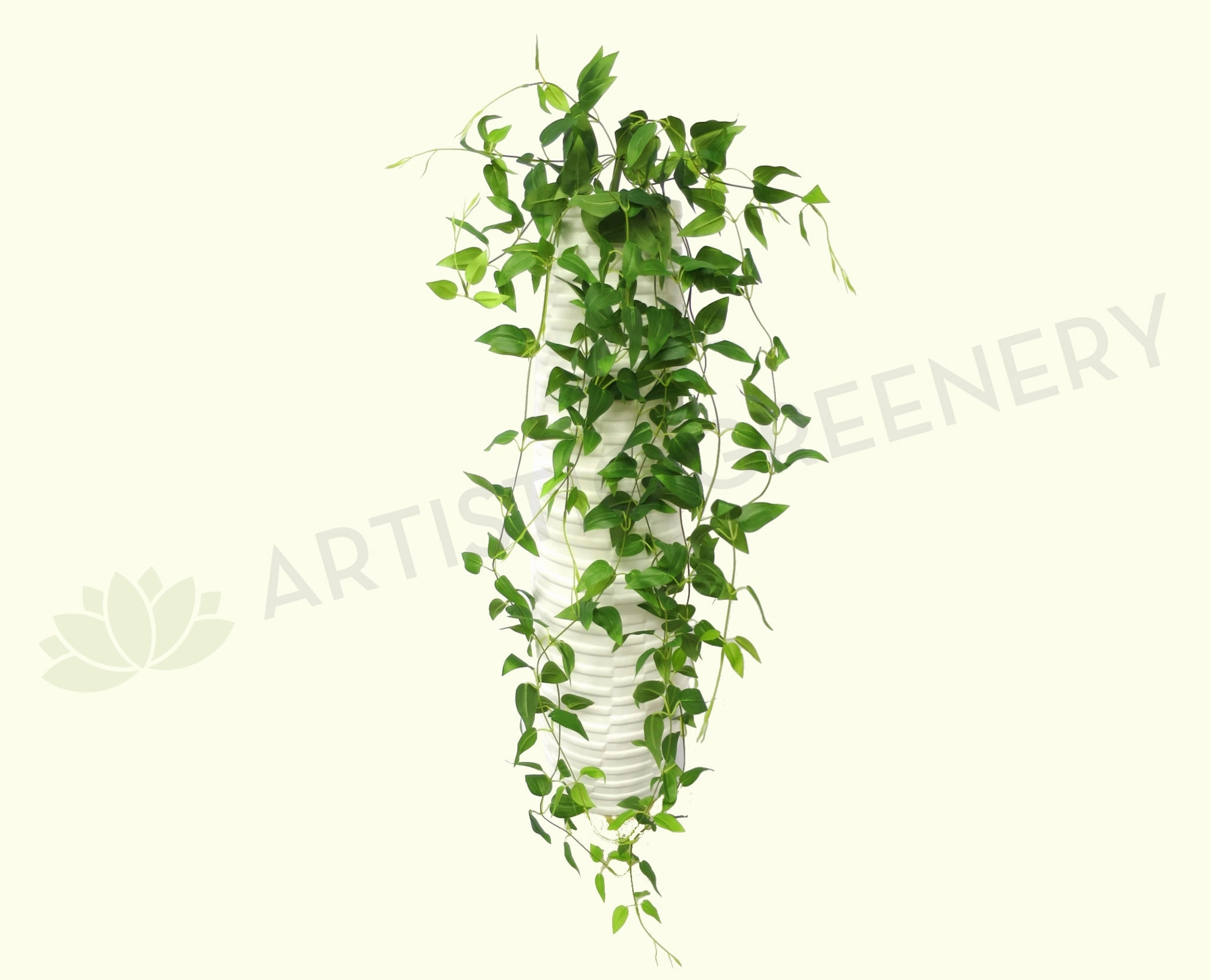 HP0056 Hanging Evergreen 90cm Green summer vegetable seed  